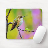 Vetkleine Hummingvogel Muismat (Met muis)