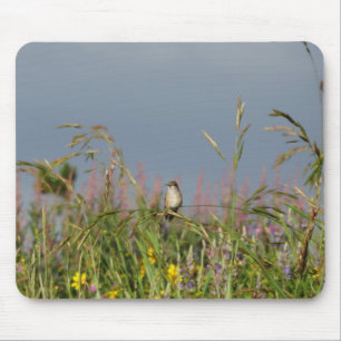 Vetkleine Hummingvogel Muismat
