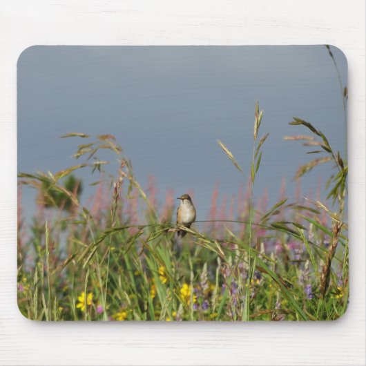 Vetkleine Hummingvogel Muismat (Voorkant)