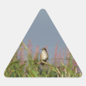 Vetkleine Hummingvogel Sticker (Voorkant)