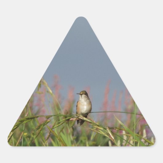 Vetkleine Hummingvogel Sticker (Voorkant)