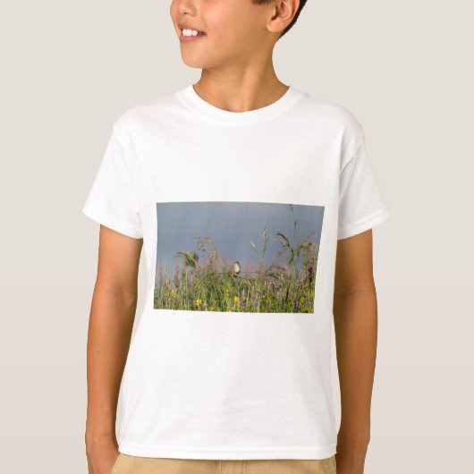 Vetkleine Hummingvogel T-shirt (Voorkant)