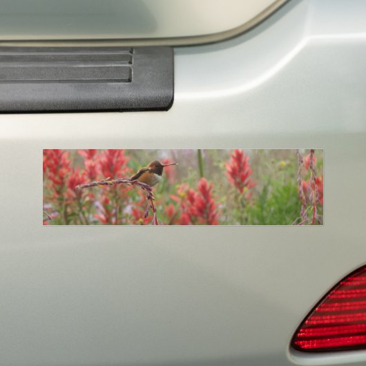 Vetkleine vogel bumpersticker (Op auto)