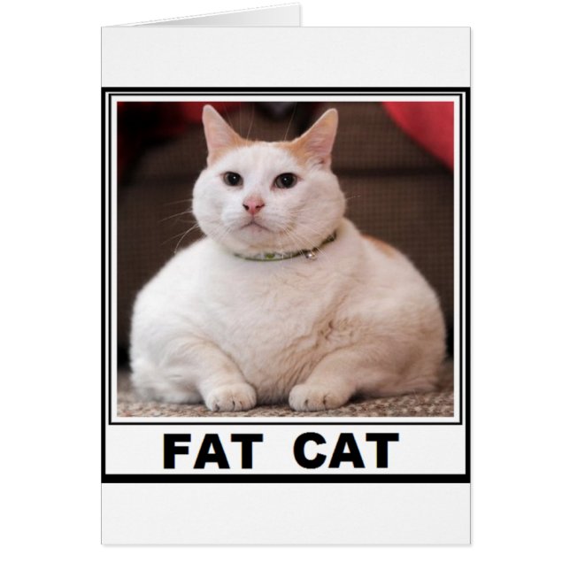 VETKRANTEN (Voorkant)