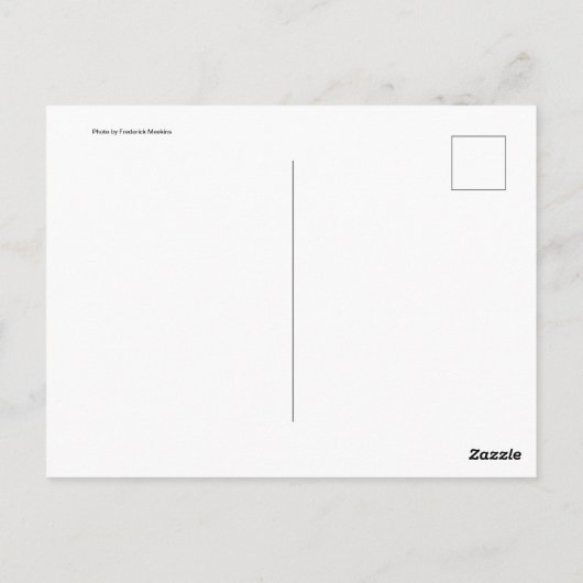 Vetmasker Briefkaart (Achterkant)