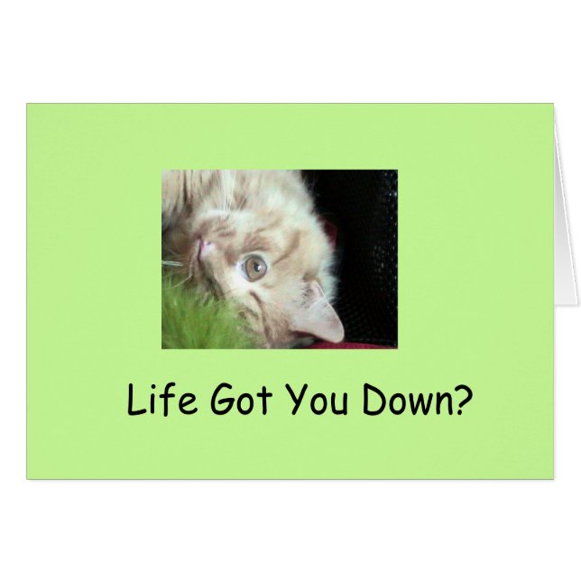 Vetmestvlokken (Voorkant Horizontaal)