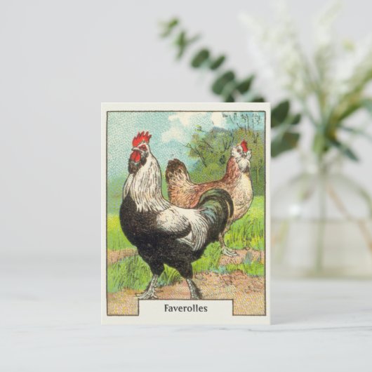  vetolles briefkaart (Staand voorkant)