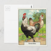  vetolles briefkaart (Voorkant / Achterkant)