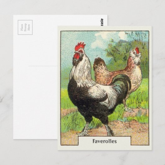  vetolles briefkaart (Voorkant / Achterkant)