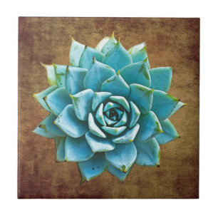 Vetplant Aquarel op roodbruine achtergrond Tegeltje