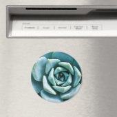 Vetplant Close-up Magneet (Insitu (Vaatwasser))