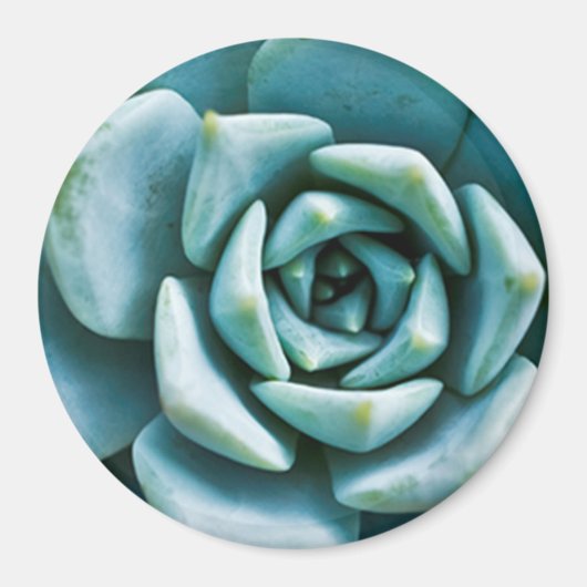 Vetplant Close-up Magneet (Voorkant)