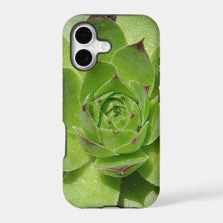 Vetplant iPhone-hoesje