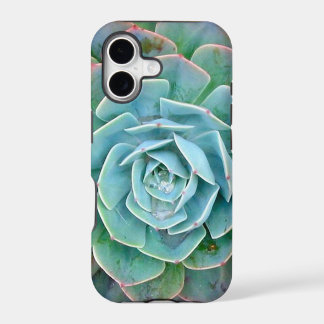 Vetplant iPhone Hoesje
