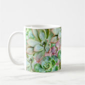 Vetplant koffiemok (Links)
