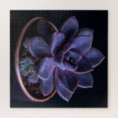 Vetplant legpuzzel (Horizontaal)