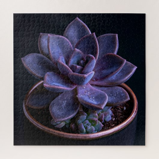 Vetplant legpuzzel (Verticaal)