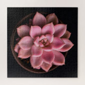 Vetplant legpuzzel (Horizontaal)