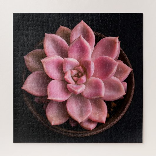 Vetplant legpuzzel (Verticaal)