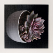 Vetplant  legpuzzel (Horizontaal)