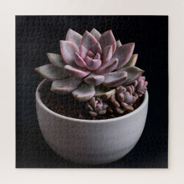 Vetplant legpuzzel