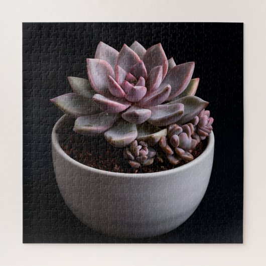 Vetplant  legpuzzel (Verticaal)