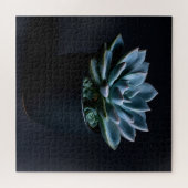 Vetplant legpuzzel (Horizontaal)