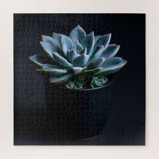 Vetplant legpuzzel (Verticaal)