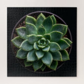 Vetplant legpuzzel (Horizontaal)