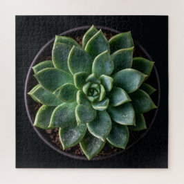 Vetplant legpuzzel