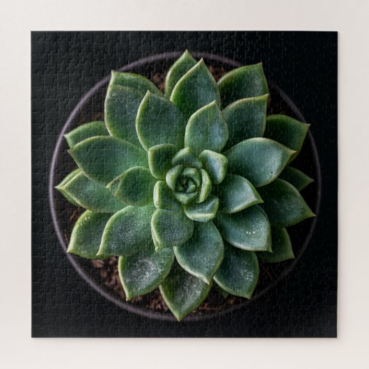 Vetplant legpuzzel (Verticaal)