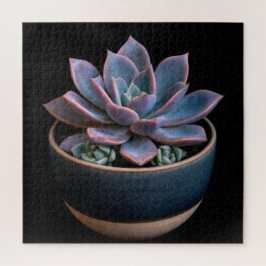 Vetplant legpuzzel (Verticaal)