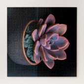 Vetplant legpuzzel (Horizontaal)