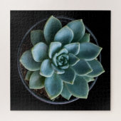 Vetplant  legpuzzel (Horizontaal)