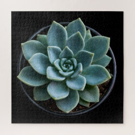 Vetplant legpuzzel