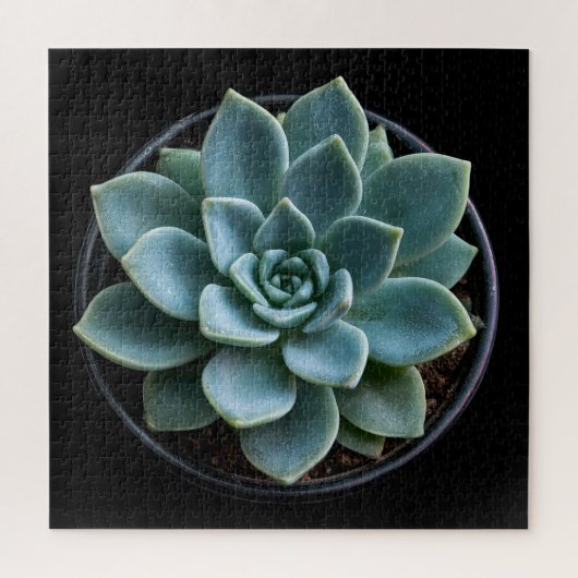 Vetplant  legpuzzel (Verticaal)