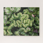 Vetplant Legpuzzel (Horizontaal)