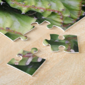 Vetplant Legpuzzel (Zijkant)