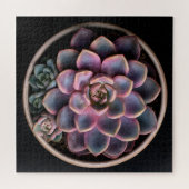 Vetplant legpuzzel (Horizontaal)