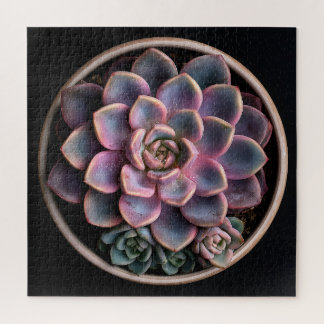 Vetplant legpuzzel
