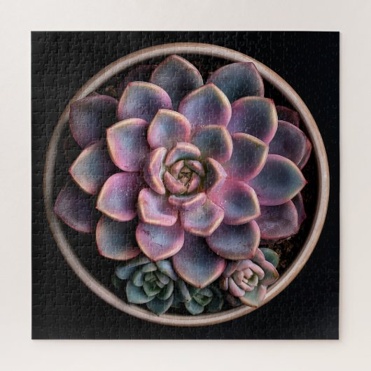 Vetplant legpuzzel (Verticaal)