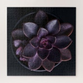 Vetplant legpuzzel (Horizontaal)