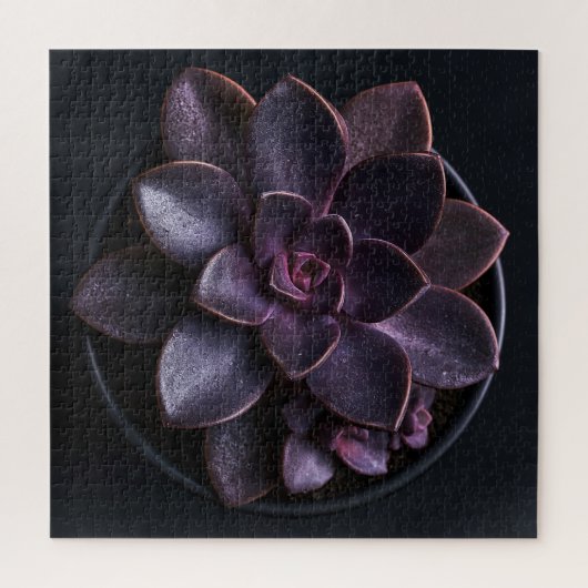 Vetplant legpuzzel (Verticaal)