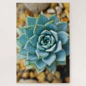 Vetplant Legpuzzel (Verticaal)