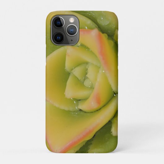 Vetplant Rozet Natuur Plant Foto Kunstprint Case-Mate iPhone Case (Achterkant)