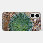 Vetplant woestijnplant Case-Mate iPhone case (Achterkant (horizontaal))