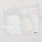 Vetplanten briefkaart (Achterkant)