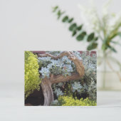 Vetplanten briefkaart (Staand voorkant)