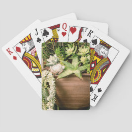 Vetplanten in een rode kleipot pokerkaarten