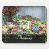 Vetplanten in schatkist muismat (Voorkant)